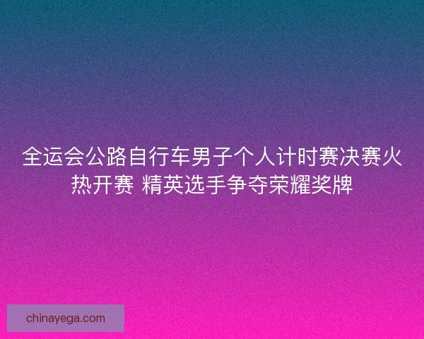 全运会公路自行车男子个人计时赛决赛火热开赛 精英选手争夺荣耀奖牌